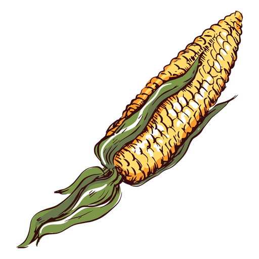 Ilustración de maíz detallada Diseño PNG