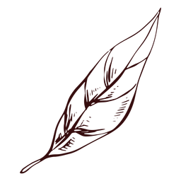 Dibujado a mano hoja verde detallada Diseño PNG