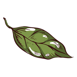 Detailed leaf illustration PNG Design