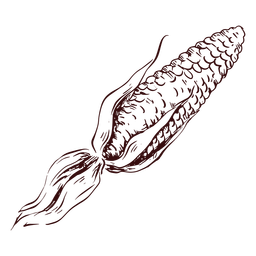 Detailed maize hand drawn Transparent PNG
