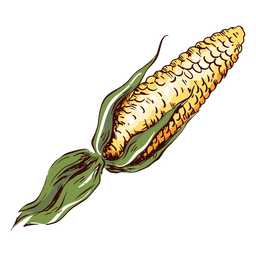 Detailed maize illustration PNG Design