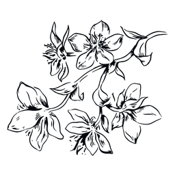 Flores rama ilustración en blanco y negro Diseño PNG