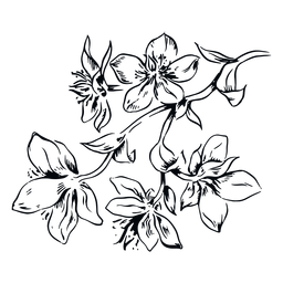 Flowers branch black and white illustration PNG Design Transparent PNG