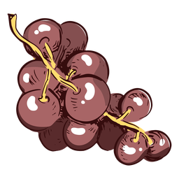 Grapes branch illustration PNG Design