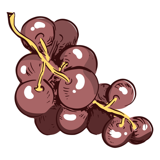 Ilustraci?n de rama de uvas Diseño PNG