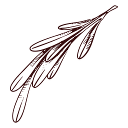 Leaves branch hand drawn Transparent PNG
