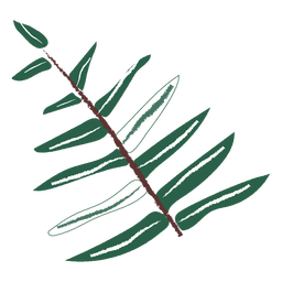 Leaves branch hand drawn leaves PNG Design