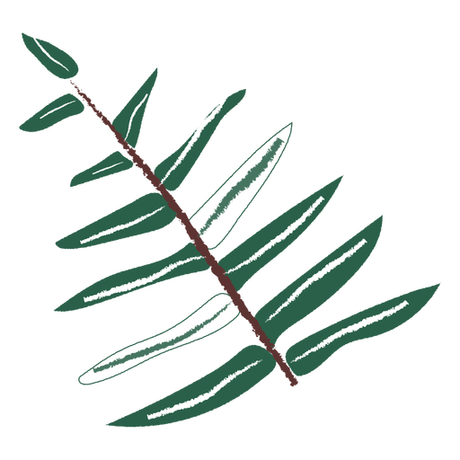 Hojas rama hojas dibujadas a mano Diseño PNG