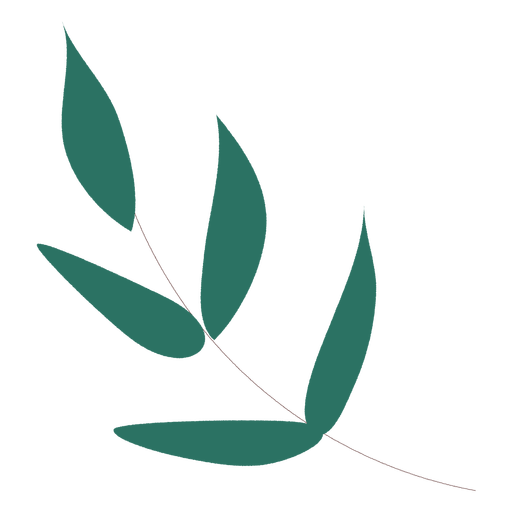 Hojas rama dibujadas a mano hojas dibujadas a mano Diseño PNG