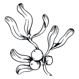Mistelbeerenzweig schwarz und weiß PNG-Design