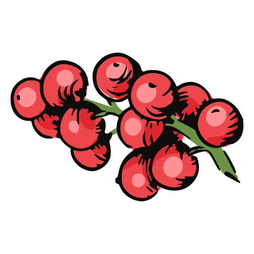 Mistletoe berries illustration