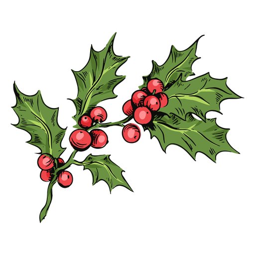 Mistletoe branch illustration