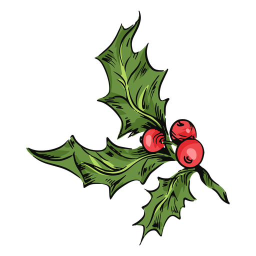 Mistletoe leaves illustration PNG Design