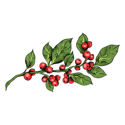 Christmas Mistletoe Illustration Set - Vector Download