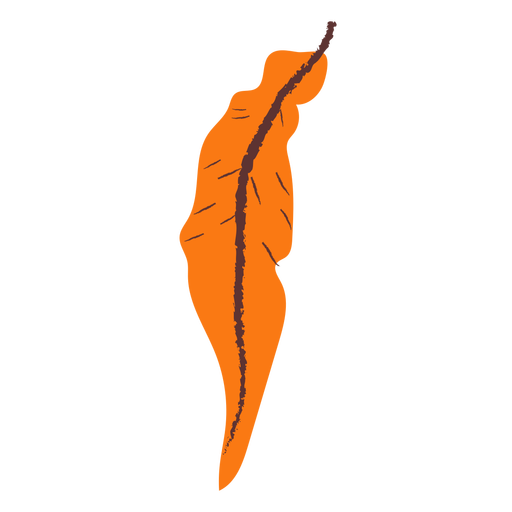 Dibujado a mano hoja naranja Diseño PNG