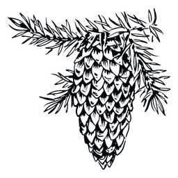 Ilustración en blanco y negro de piña Diseño PNG