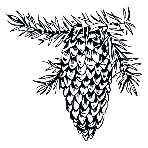 Schwarz-weiße Illustration des Tannenzapfens PNG-Design
