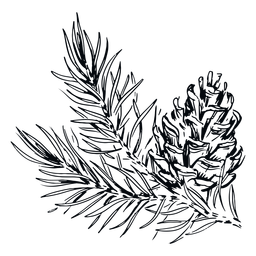 Rama de piña en blanco y negro Diseño PNG