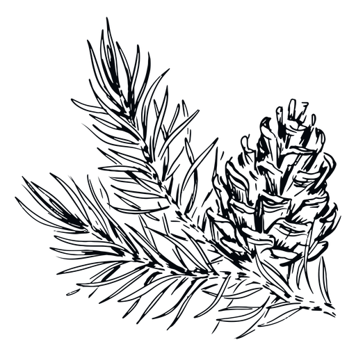 Pinecone Branch Black And White Transparent Png Svg Vector File