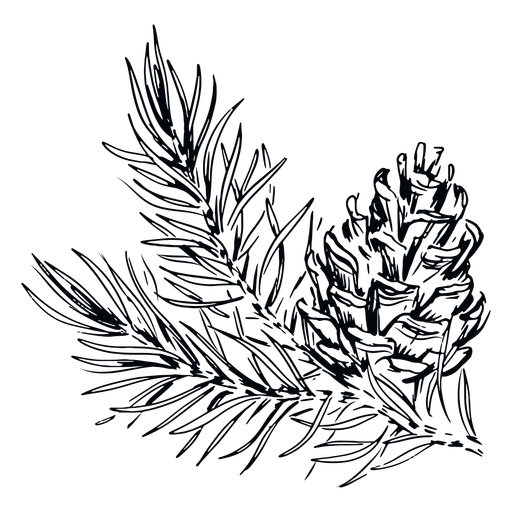 Pinecone branch black and white PNG Design