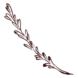 Plant branch hand drawn PNG Design