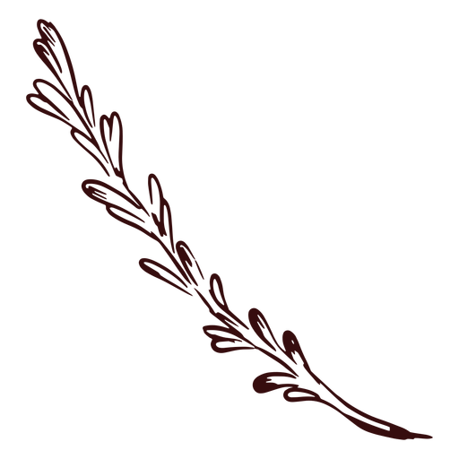 Plant branch hand drawn PNG Design