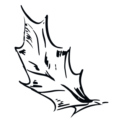 Schwarzweiss-Illustration des spitzen Blattes PNG-Design