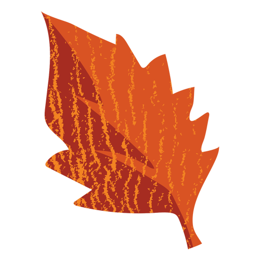 Pointed leaf flat PNG Design