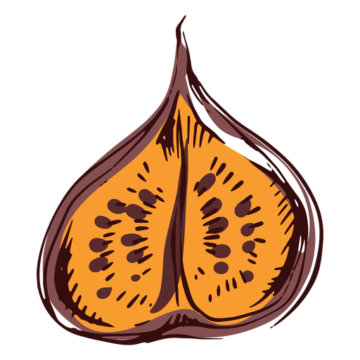 Sliced fig illustration PNG Design