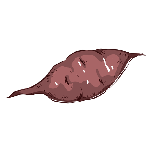 Ilustração vegetal de batata doce Desenho PNG
