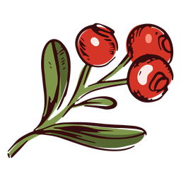 Thanksgiving cranberries branch illustration Transparent PNG