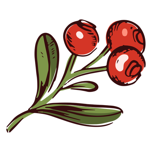 Thanksgiving cranberries branch illustration PNG Design