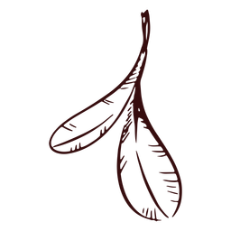 Two leaves decoration hand drawn PNG Design