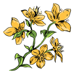 Ilustração do ramo de flores amarelas Desenho PNG