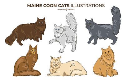 Conjunto de diseño de gato Maine Coon