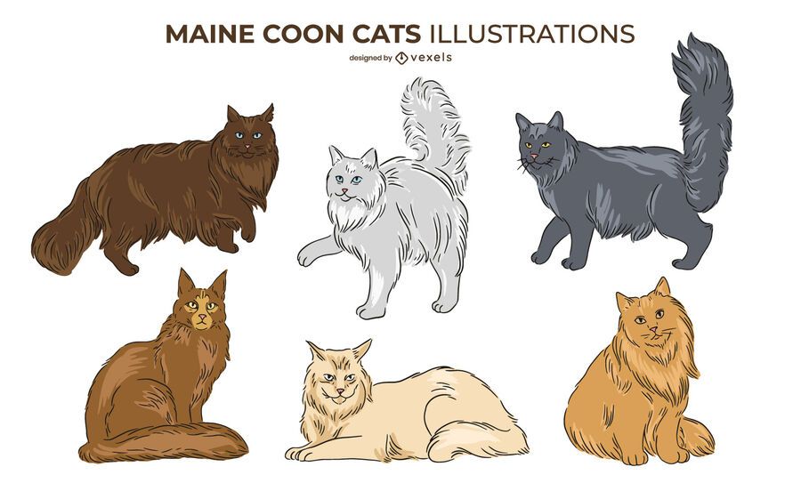 Maine Coon Cat Design Set Maine Coon Cat Design Set