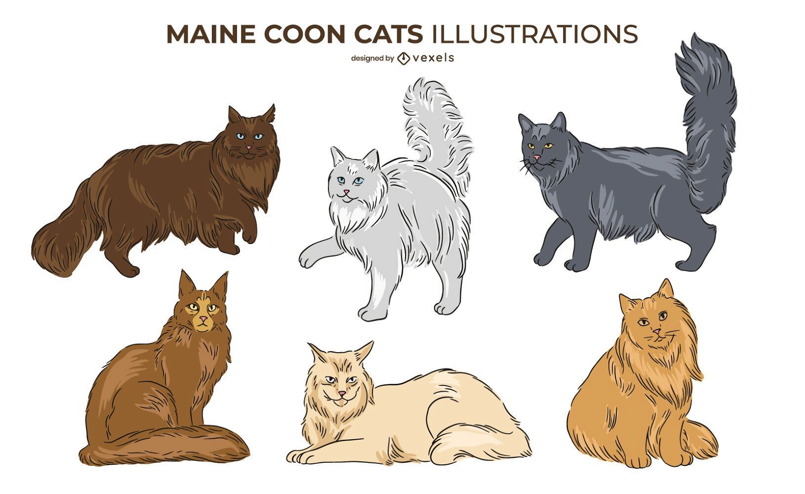Maine Coon Cat Design Set 