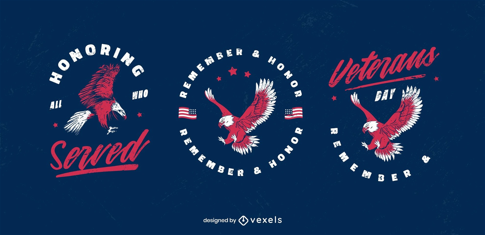 Conjunto de insignias del águila del día de los veteranos