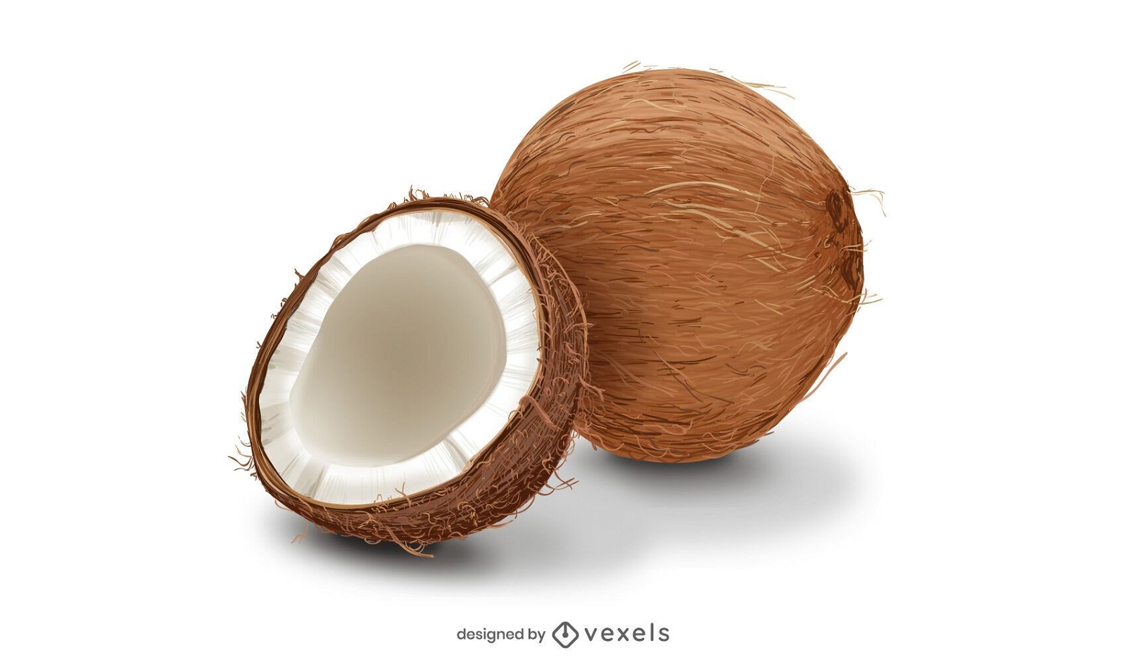 Design realista de coco