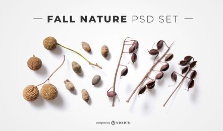 Fall twigs psd elements for mockups