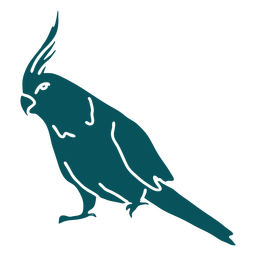 Pássaro quarrion cockatiel Transparent PNG