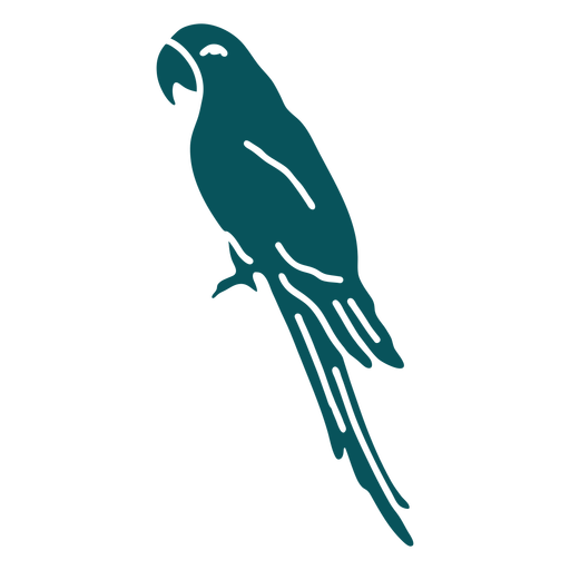 Arara papagaio lado pássaro