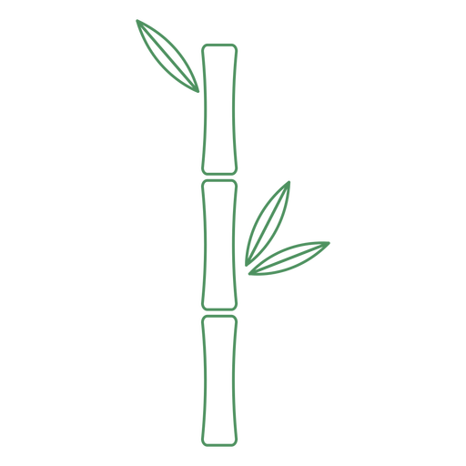 Bamboo plant green stroke PNG Design