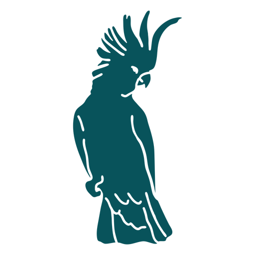 Bird Parrot Cockatoo Transparent Png Svg Vector File