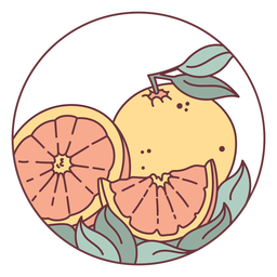 Ilustración de fruta cítrica naranja Diseño PNG