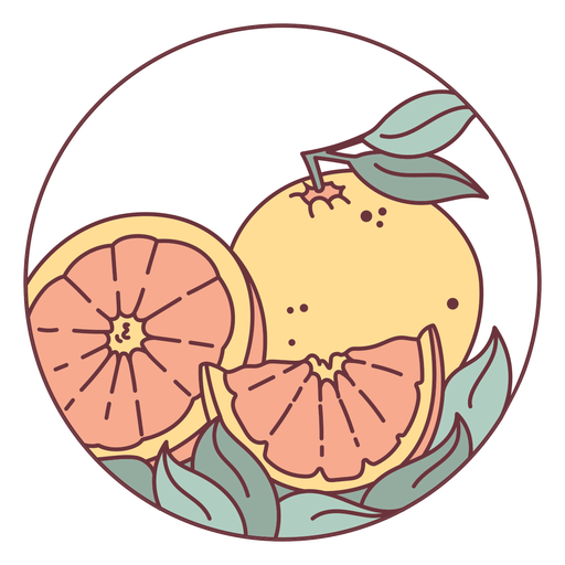 Ilustração de frutas cítricas Desenho PNG