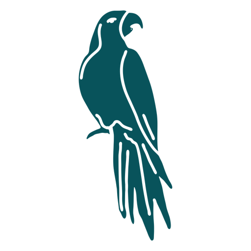 Domestic parrot bird