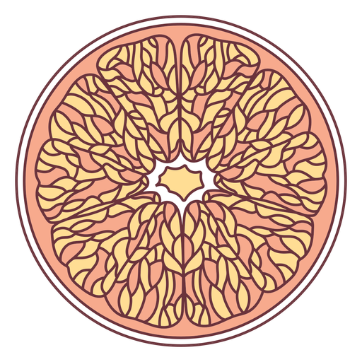 Ilustración de pomelo de fruta Diseño PNG