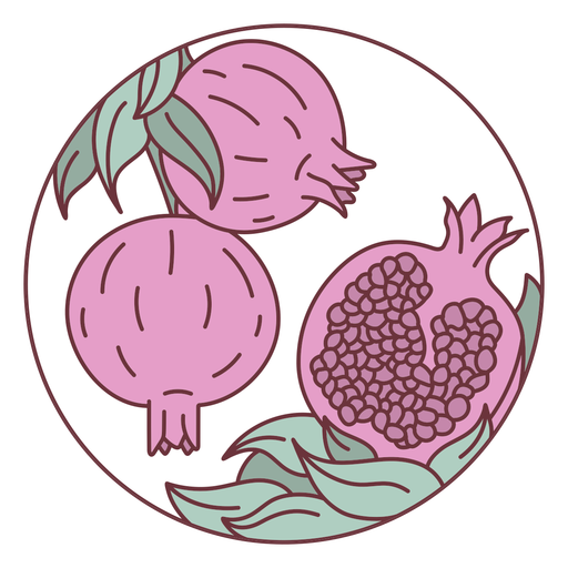 Fruchtgranatapfelillustration PNG-Design