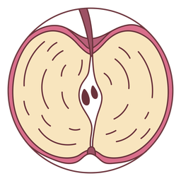 Fruit sliced apple illustration PNG Design